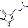 MiPT Fumarate